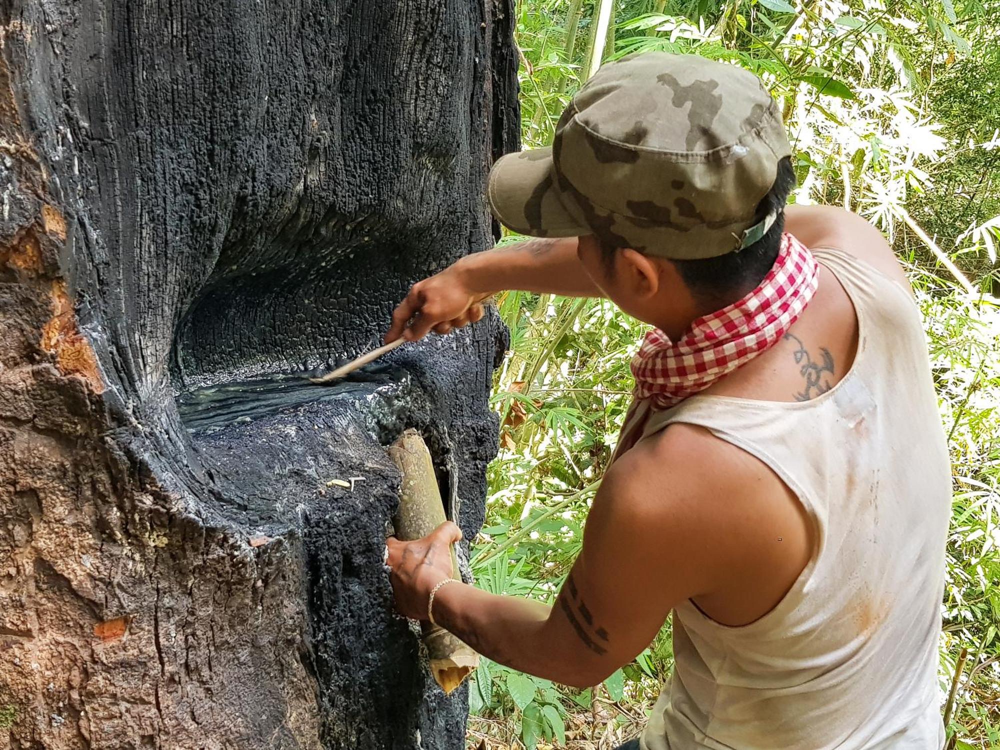Ratanakiri Homestay & Jungle Trek Banlung Εξωτερικό φωτογραφία