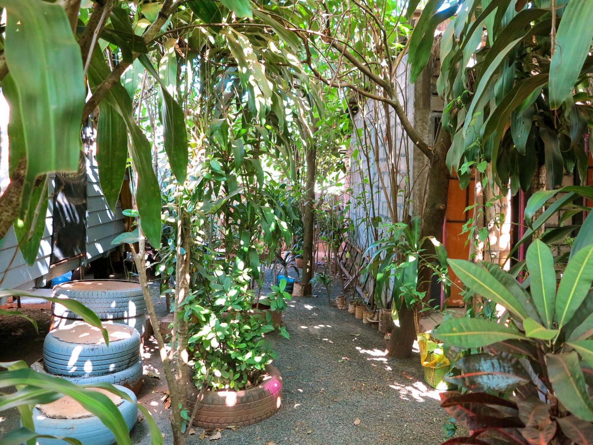 Ratanakiri Homestay & Jungle Trek Banlung Εξωτερικό φωτογραφία